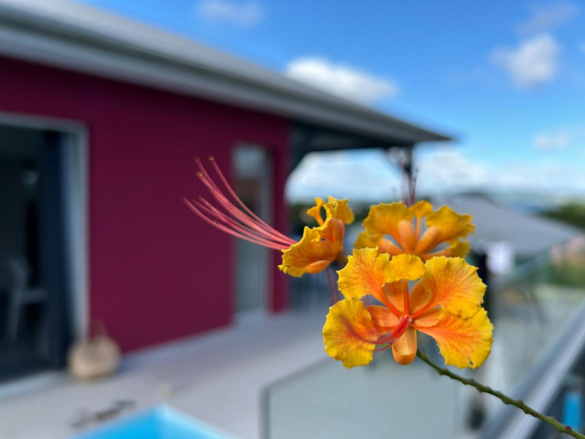 La Villa Jalna Grenadine Deux Chambres Et Piscine Privee Les Trois-Ilets Exterior foto